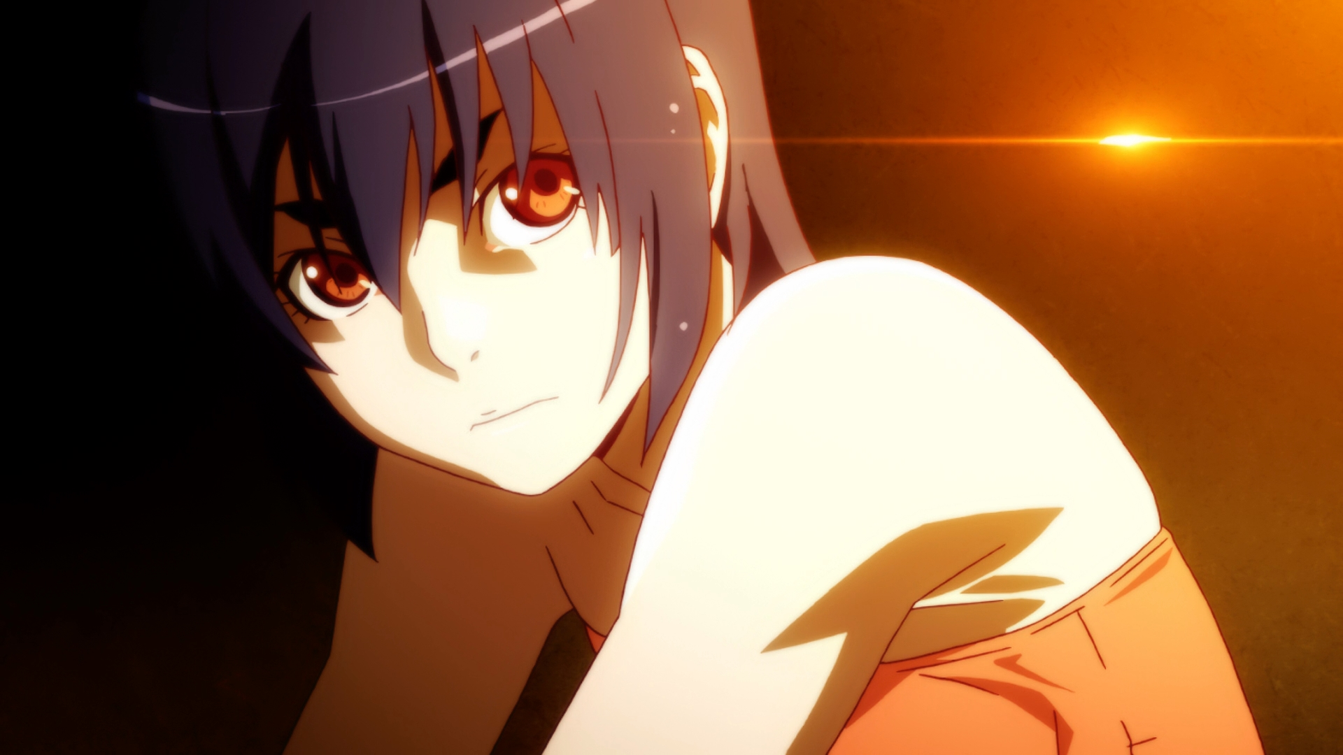 Nisemonogatari (Japan Universe)